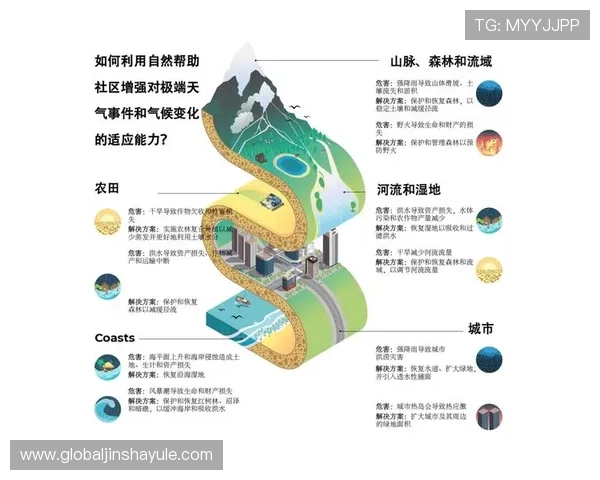 金沙真人版全站登录遇到问题怎么办？详细解决方案与常见问题解答指南